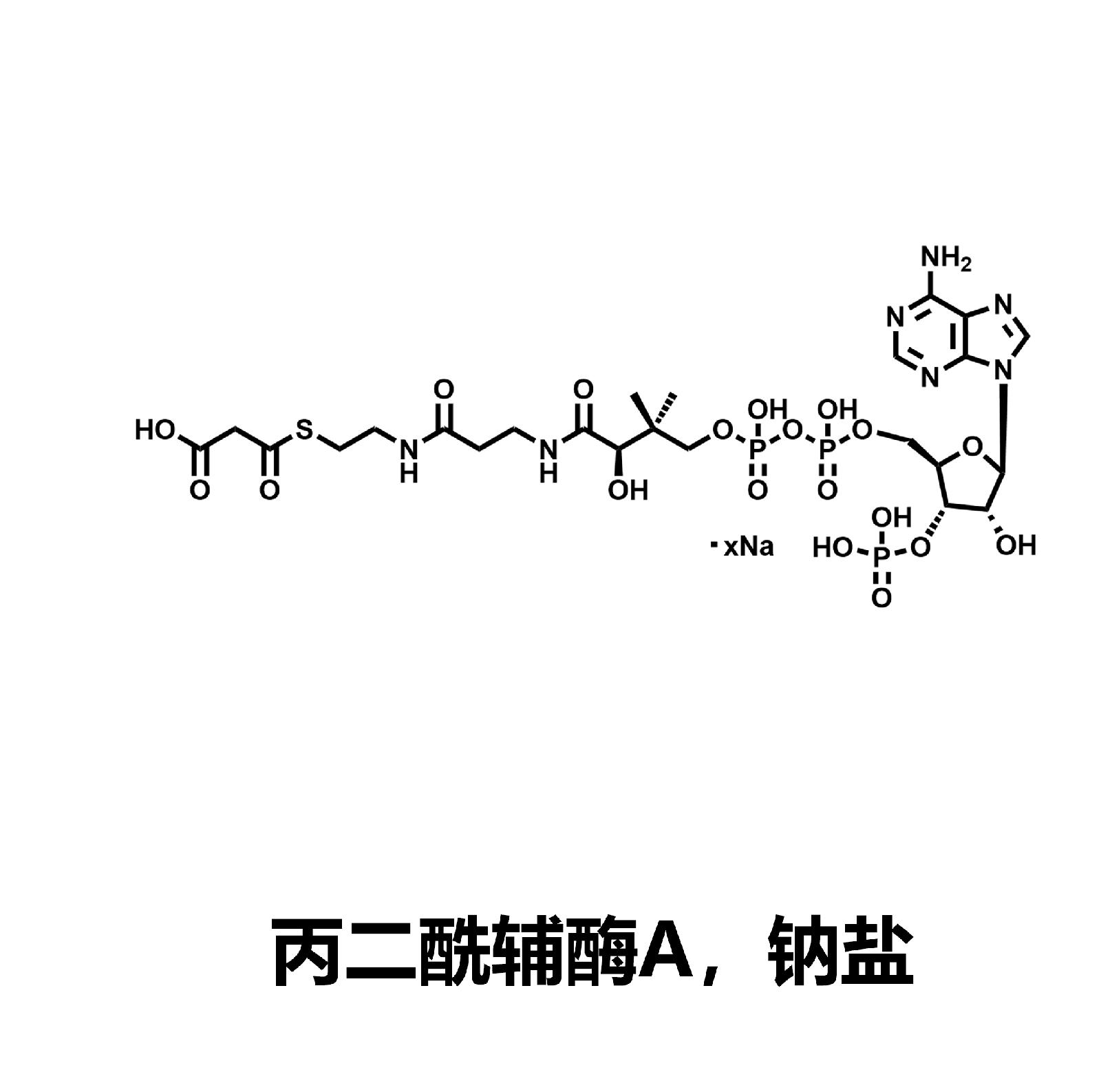 丙二酰辅酶a_杭州唯铂莱生物科技有限公司