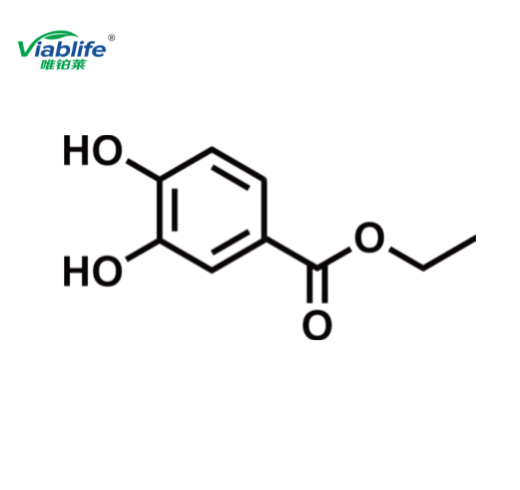 3,4-二羟基苯甲酸乙酯