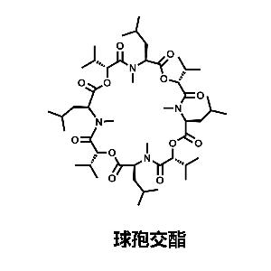 球孢交酯