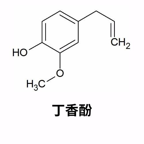 丁香酚