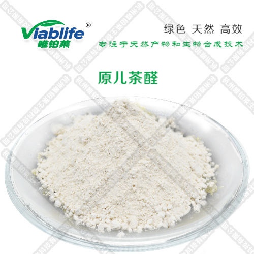原儿茶醛